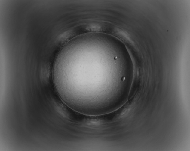 X0000086920645200704161403