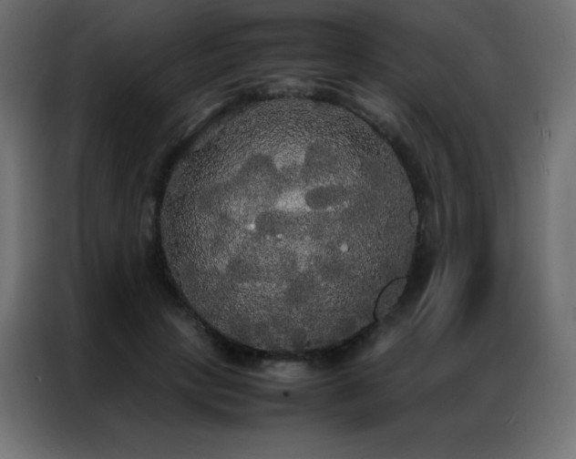 X0000086920649200704161404