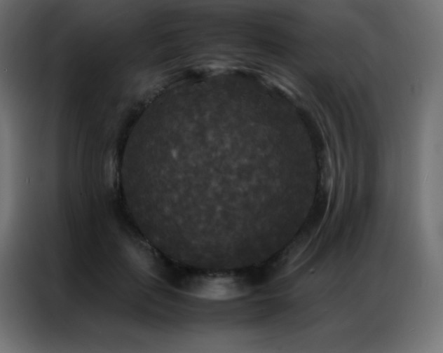 X0000086920651200704161404