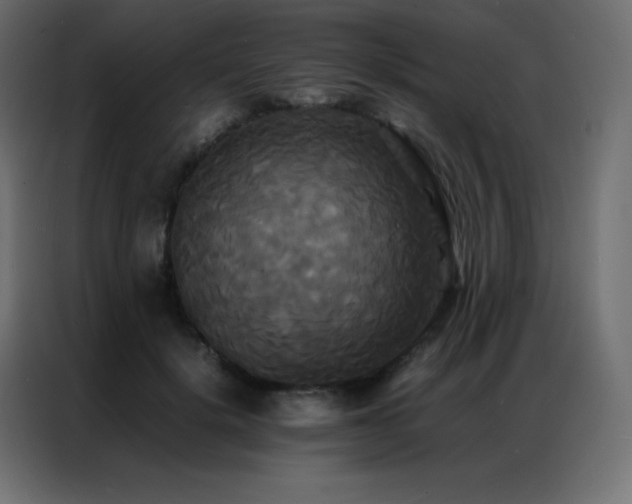 X0000086920652200704161404