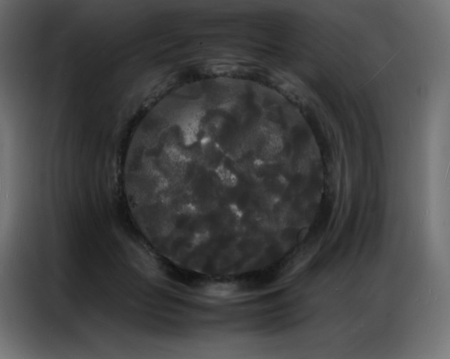 X0000086920653200704161404