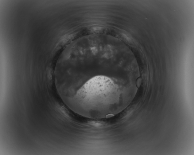 X0000086920654200704161404