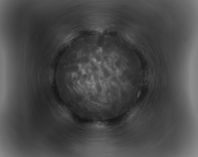 X0000086920656200704161404