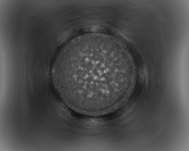X0000086920657200704161404