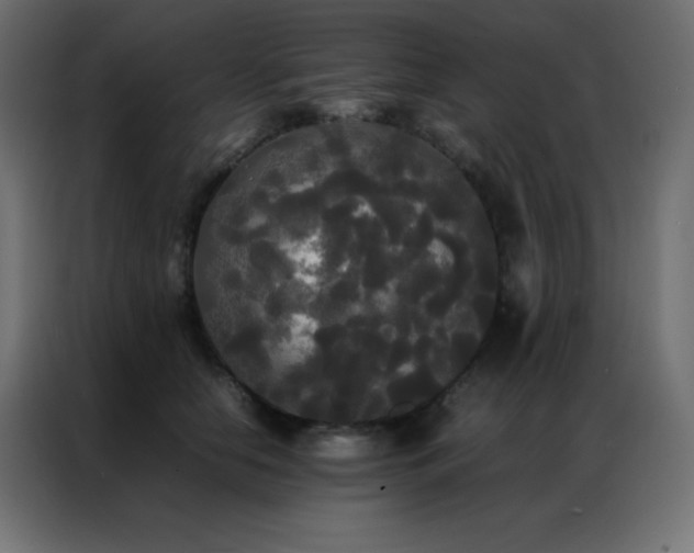 X0000086920658200704161404