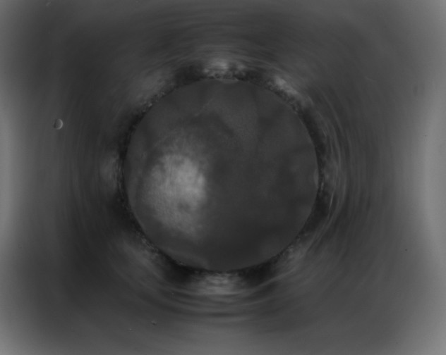 X0000086920659200704161404
