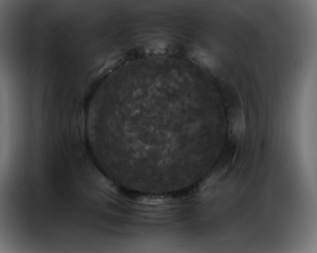 X0000086920661200704161404