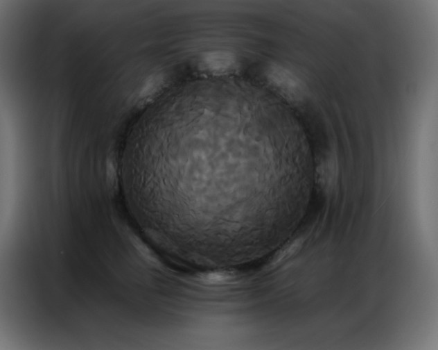 X0000086920662200704161404