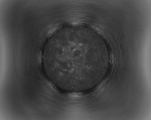 X0000086920664200704161404