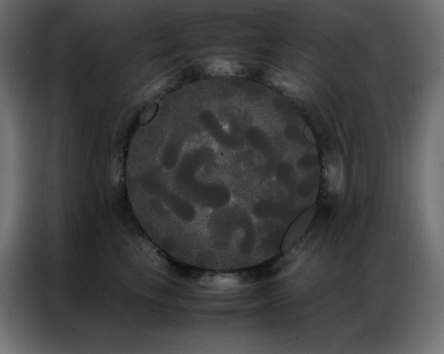 X0000086920665200704161404
