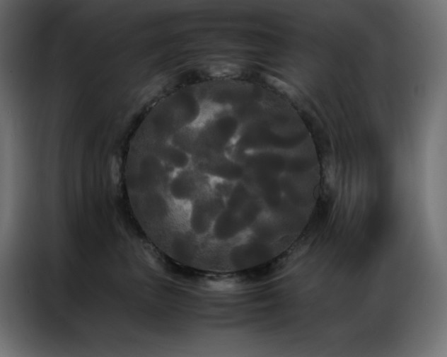 X0000086920667200704161404