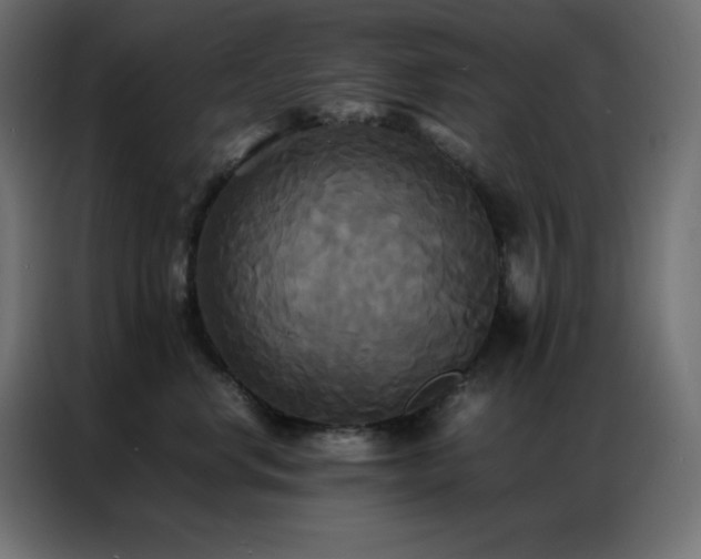 X0000086920668200704161404