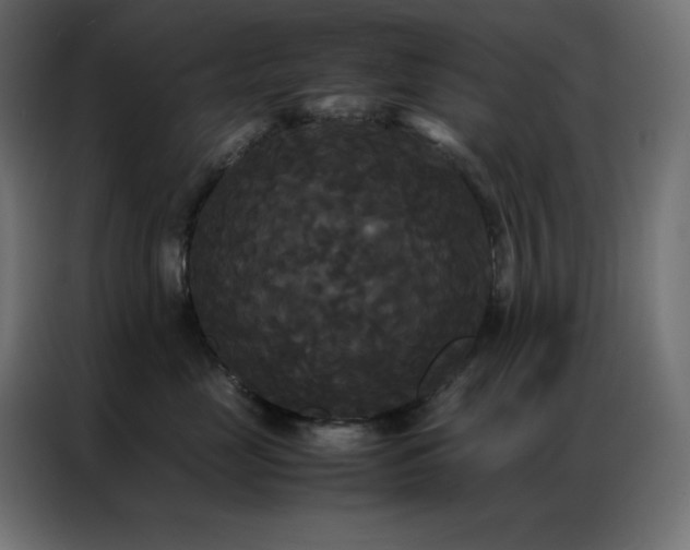 X0000086920669200704161404