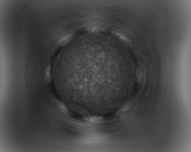 X0000086920670200704161404
