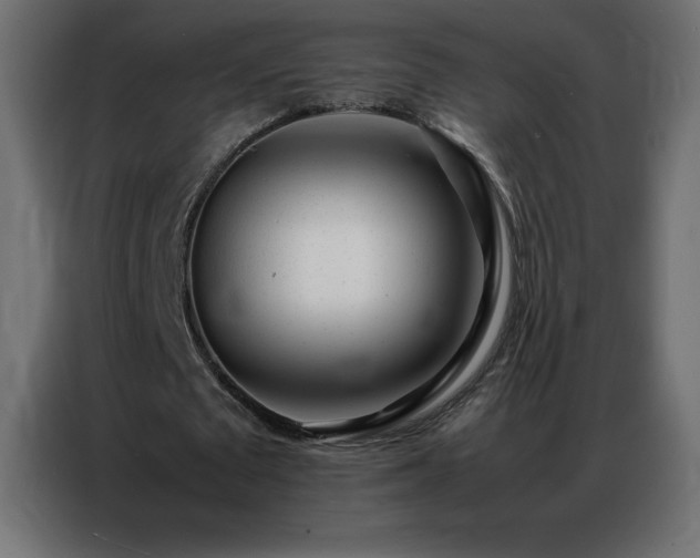 X0000086920673200704161403
