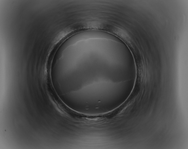 X0000086920674200704161403