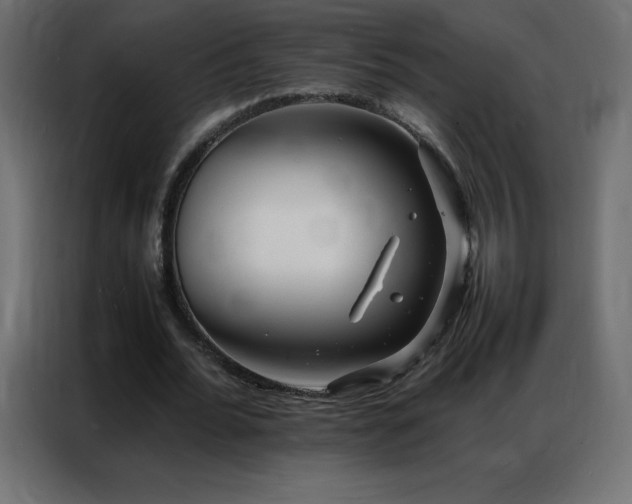 X0000086920676200704161403