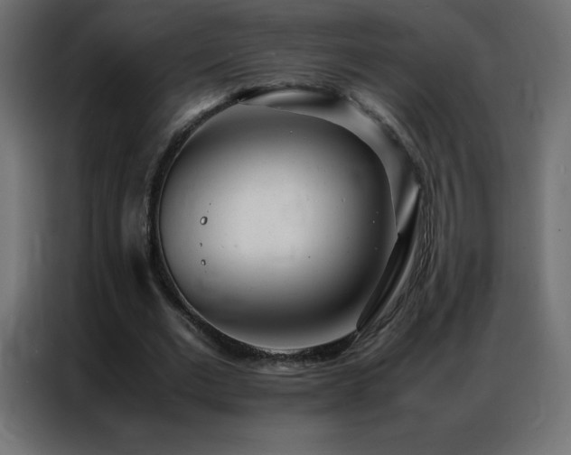 X0000086920677200704161403