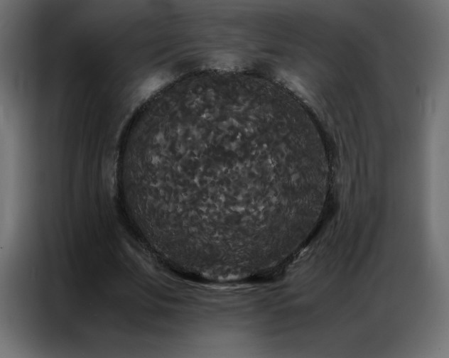 X0000086920679200704161403