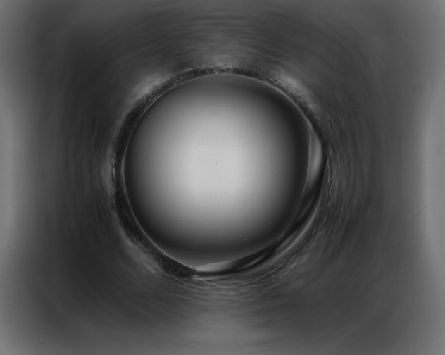 X0000086920680200704161403