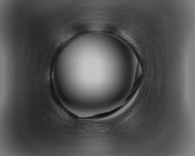 X0000086920681200704161403