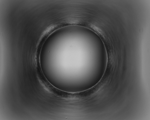 X0000086920682200704161403