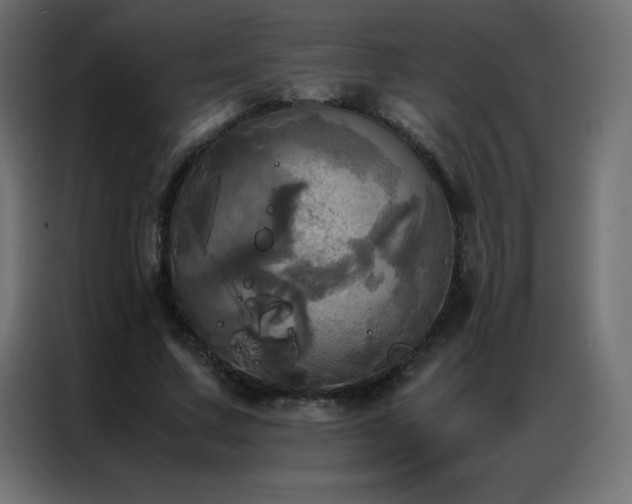 X0000086920683200704161403