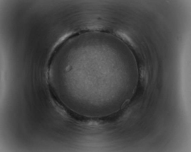 X0000086920684200704161403
