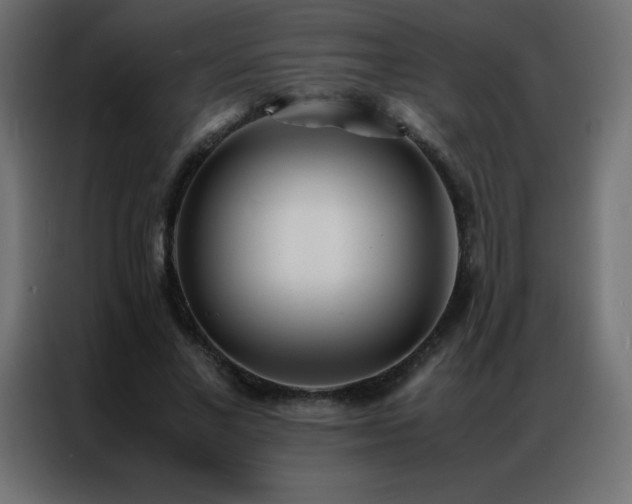 X0000086920685200704161403