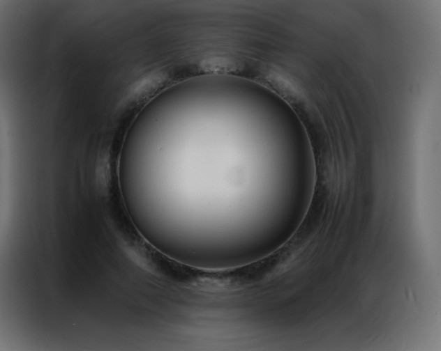 X0000086920690200704161403