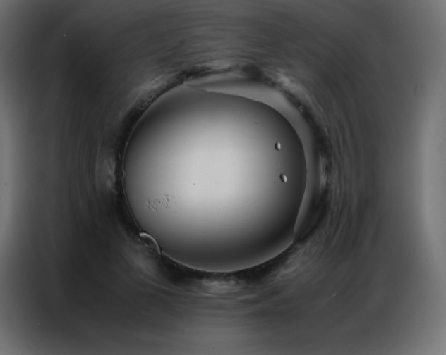 X0000086920693200704161403