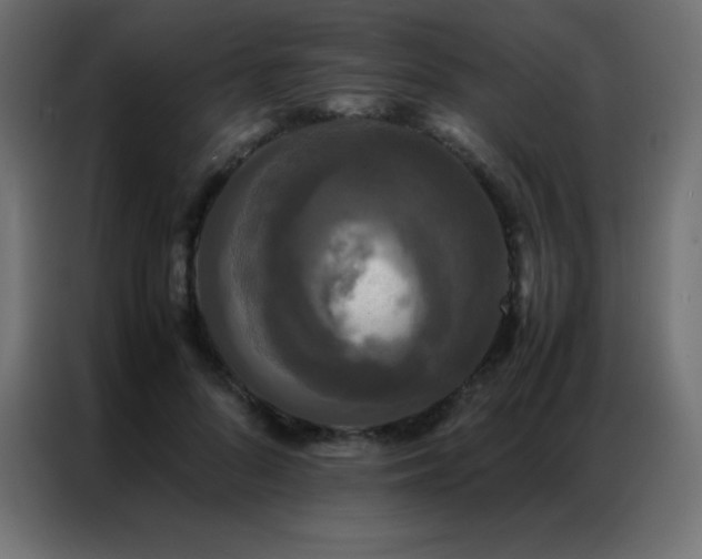 X0000086920696200704161403