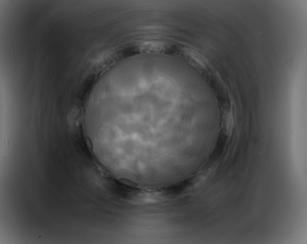 X0000086920701200704161403