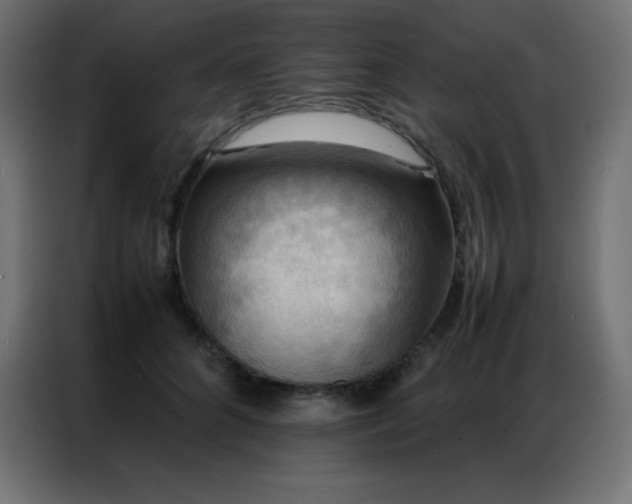 X0000086920704200704161403