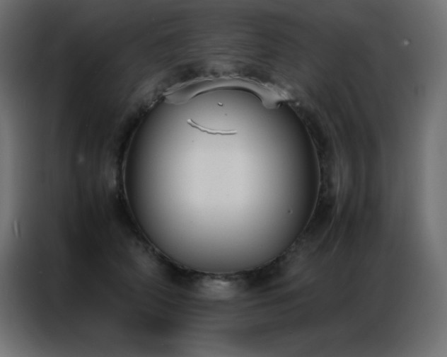 X0000086920706200704161403