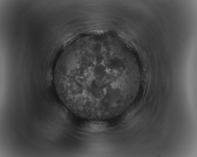 X0000086920707200704161403