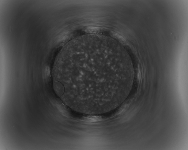 X0000086920711200704161403