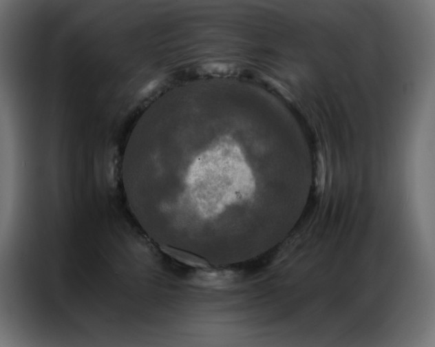 X0000086920712200704161403