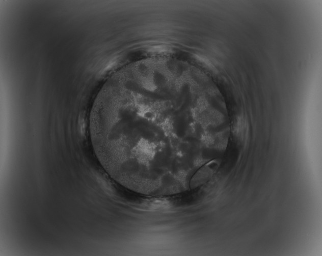 X0000086920715200704161403