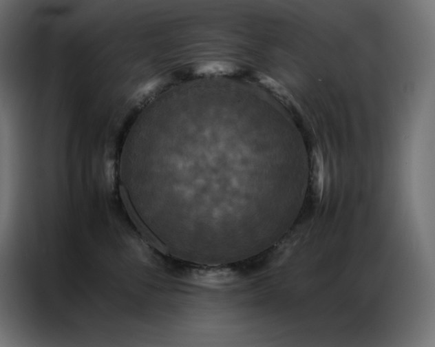 X0000086920716200704161403