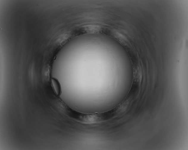 X0000086920717200704161403