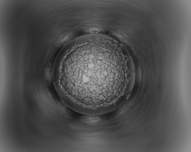 X0000086920719200704161403