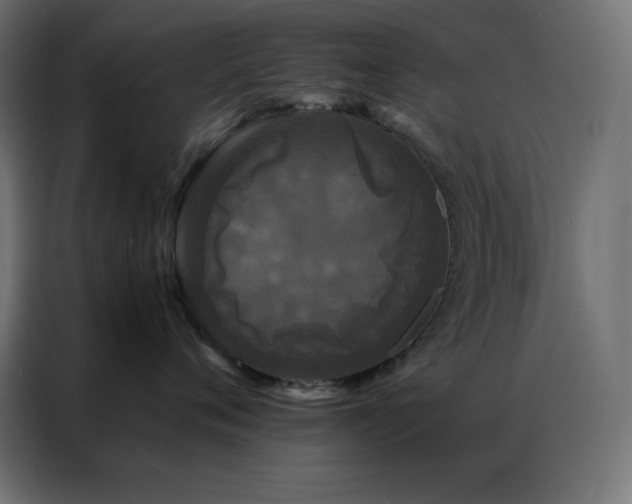 X0000086920720200704161403