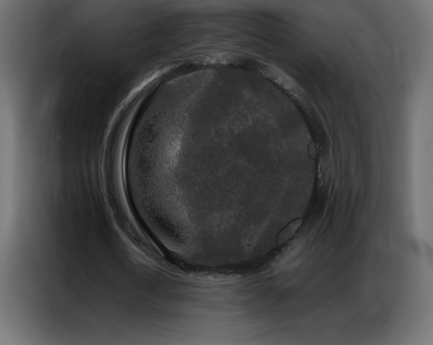 X0000086920722200704161402