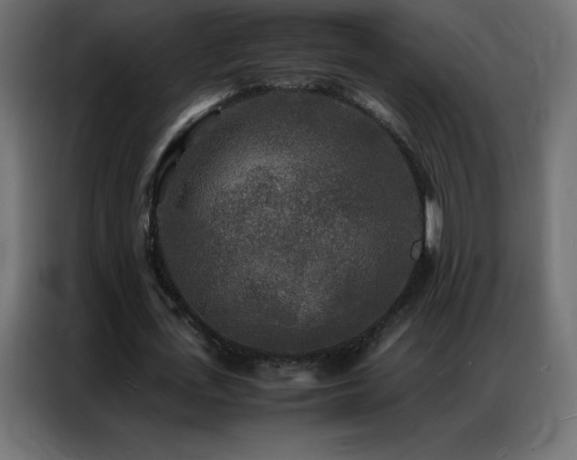 X0000086920723200704161402