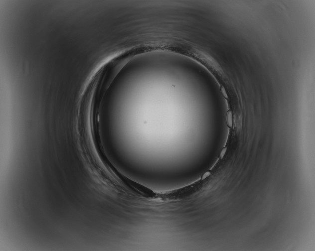 X0000086920724200704161402