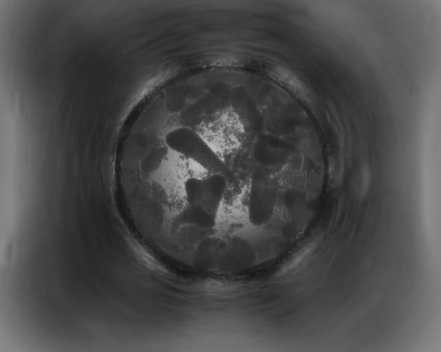 X0000086920725200704161402