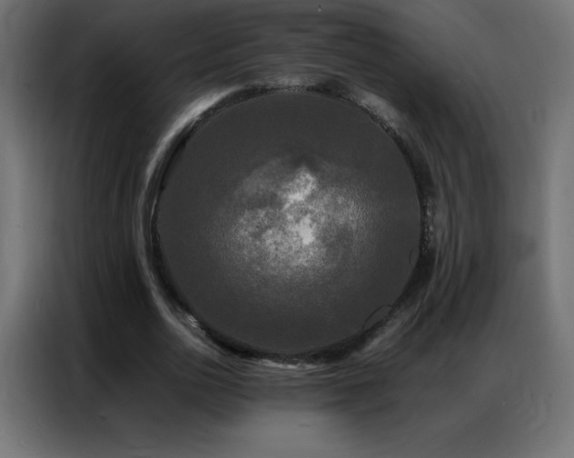 X0000086920726200704161402