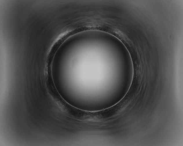 X0000086920727200704161402