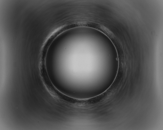 X0000086920728200704161402